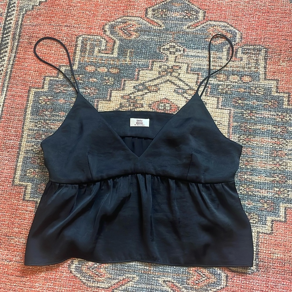 Aritzia crop top (brand little moon, purchased from Aritzia)